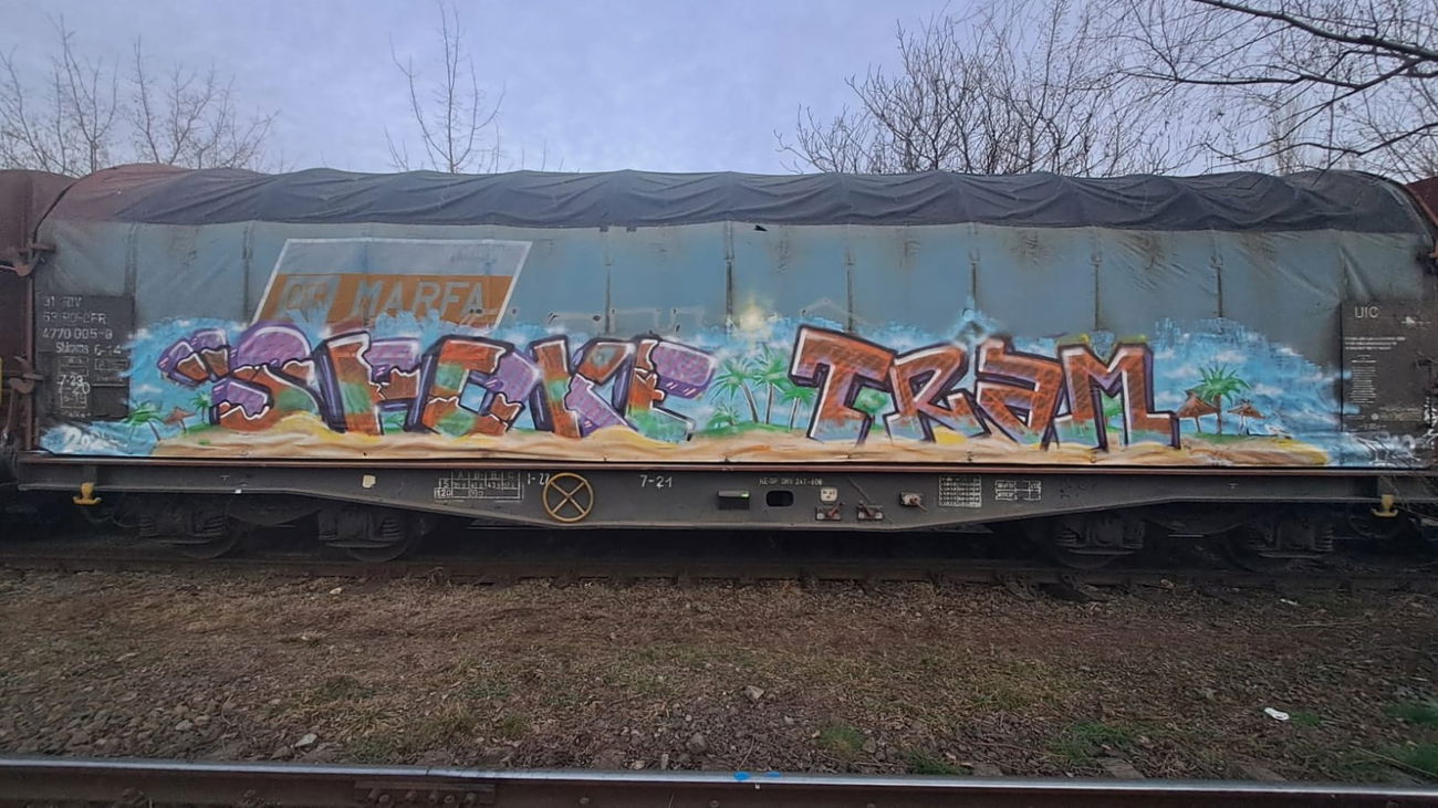 Graffiti Train in Iasi - Photo by Alex1i - Freight, graffiti, iasi