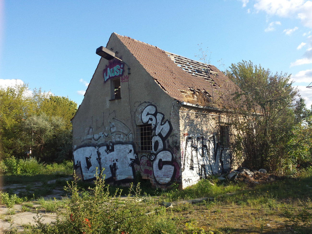 Graffiti Bombing - Photo by AllCityLaus - dh, 48, smoc