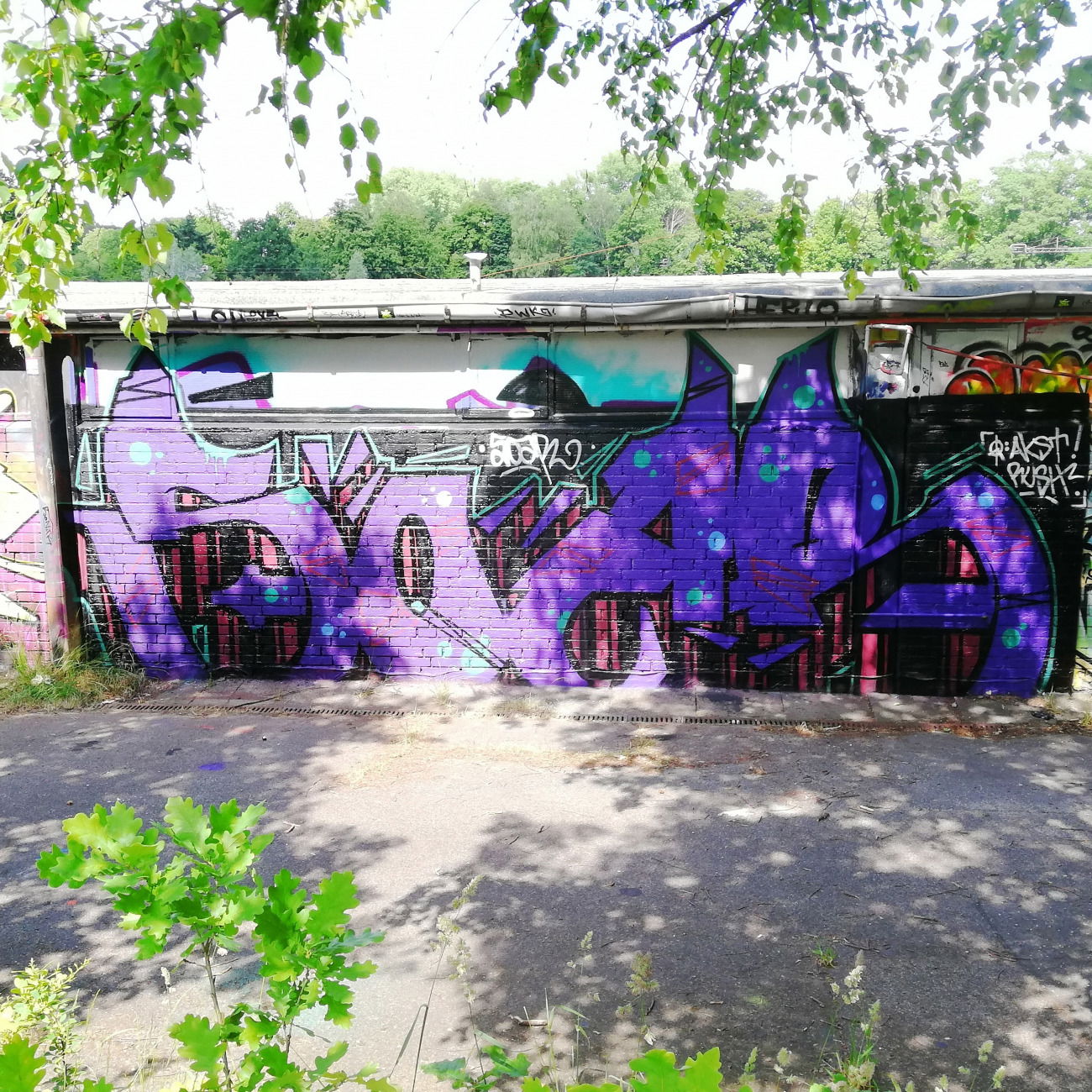 Graffiti Wall - Photo by AmekOne - soar