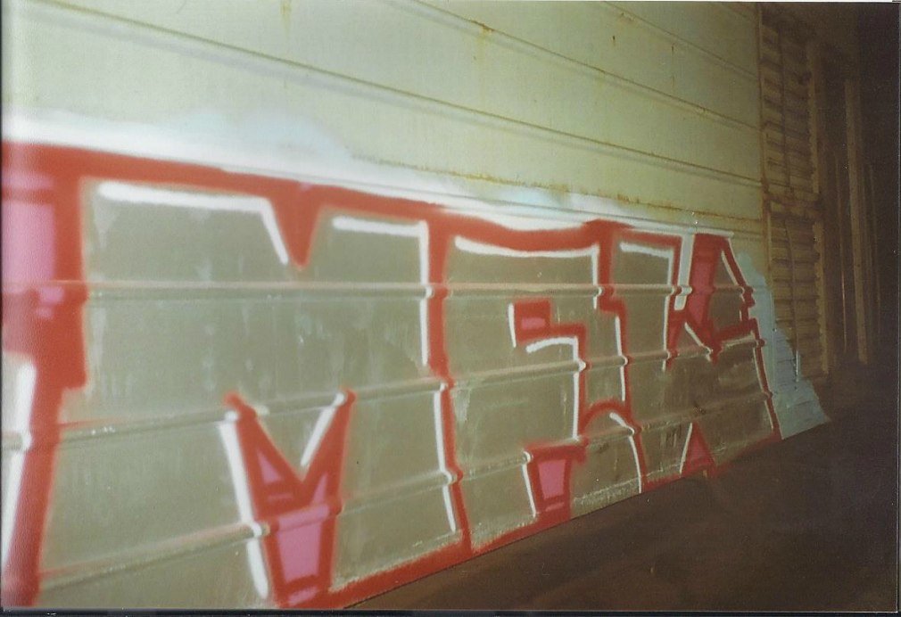 Graffiti Train - Photo by Amer_MFLS - freight (2015)