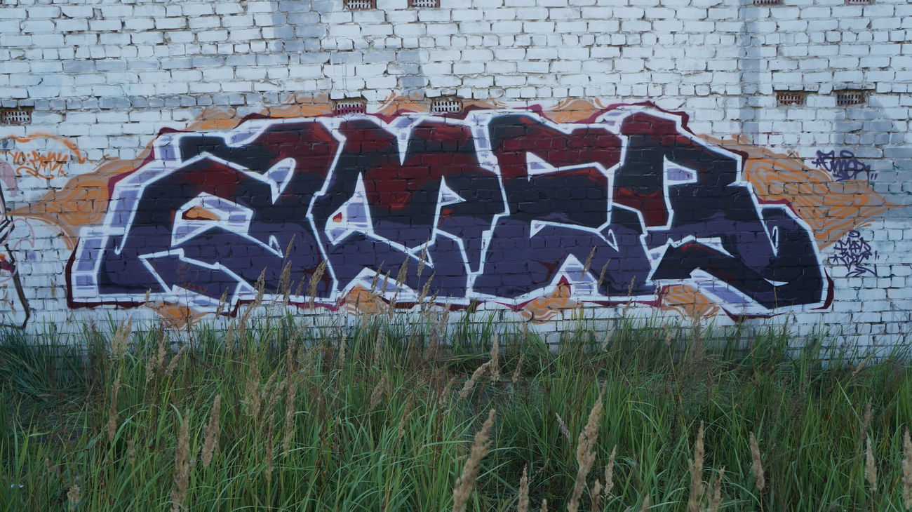 Graffiti Wall - Photo by Amer_MFLS - amer, mflots (2015)