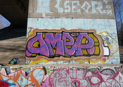 Photo #144029 by wise