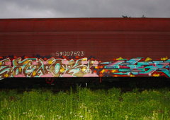 Graffiti Train in Moscow - Photo by Amesymmetry (2013)