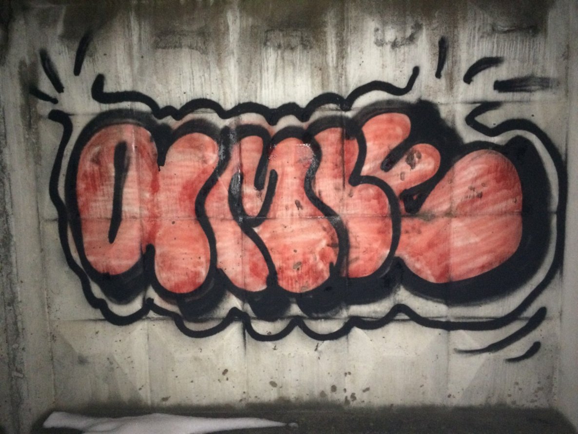 Graffiti Bombing - Photo by Amle