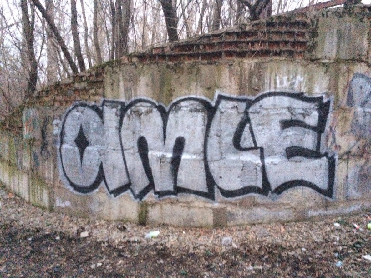 Graffiti Bombing - Photo by Amle