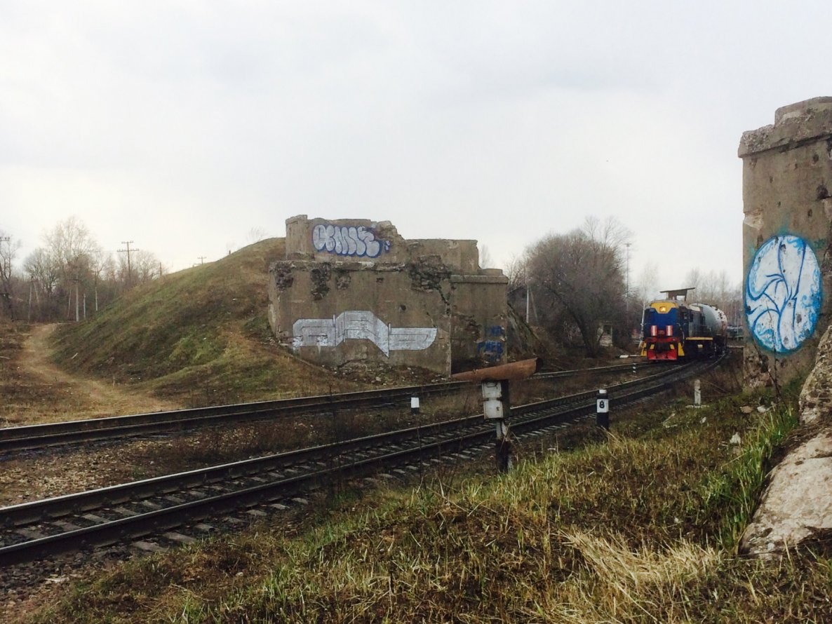 Graffiti Bombing - Photo by Amle (2015)