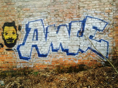 Graffiti Bombing - Photo by Amle