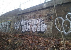 Photo #76122 by Zwiespalt