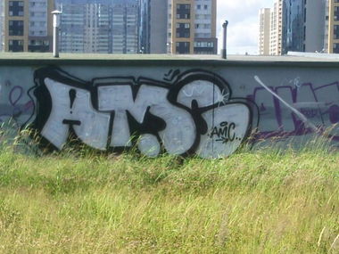 Graffiti Bombing - Photo by Amsek