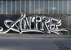 Photo #154849 by Belt