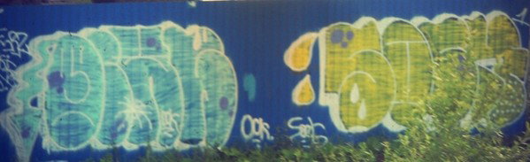 Graffiti Bombing - Photo by AndreySock