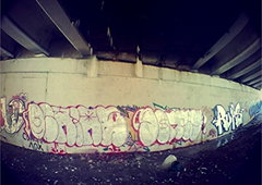 Photo #7959 by RogerLawlezz