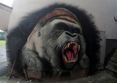 Photo #173632 by 12345