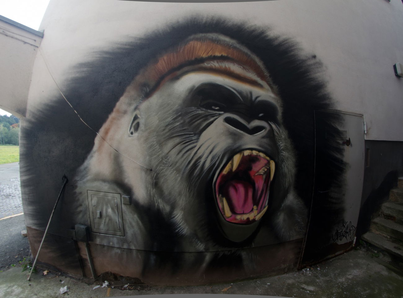 Graffiti Wall - Photo by Anger143