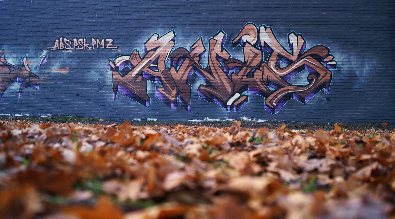 Graffiti Wall - Photo by Anis - Anis, Pmz (2015)