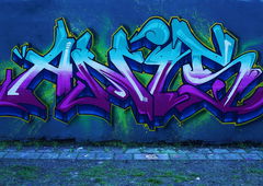 Photo #173526 by CERT215