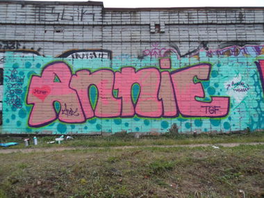 Graffiti Wall in Korolev - Photo by Annie - Annie, Korolev, Production (2013)