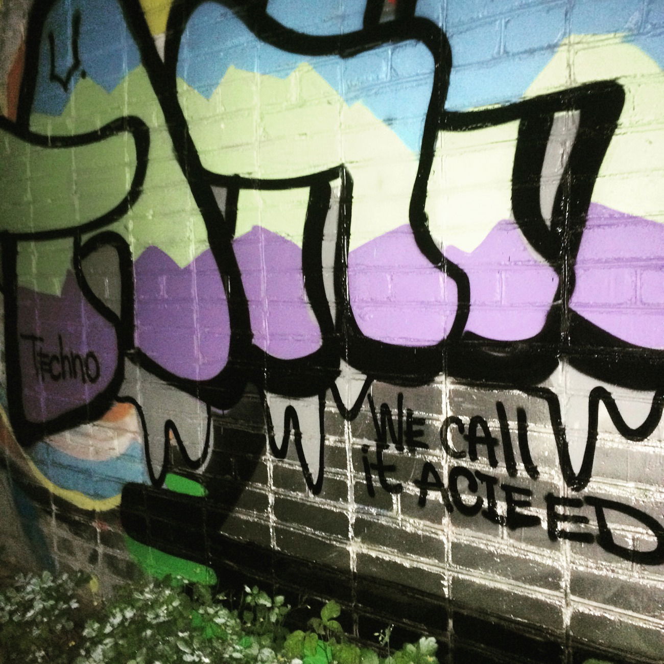 Graffiti Bombing - Photo by Annie - Annie, Techno, Acid (2015)