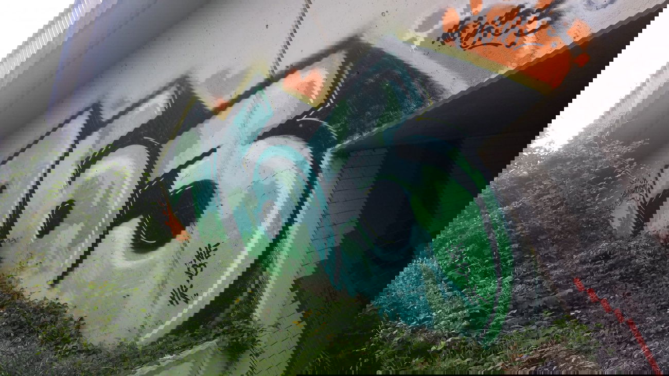 Graffiti Bombing - Photo by Anonymous - 763