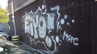 Graffiti Bombing - Photo by Anonymous - eiyo