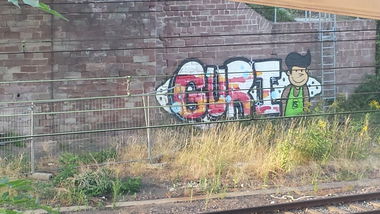 Graffiti Bombing - Photo by Anonymous - GURICH (2015)
