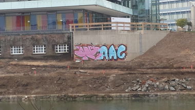 Graffiti Bombing - Photo by Anonymous - anc, anc (2015)