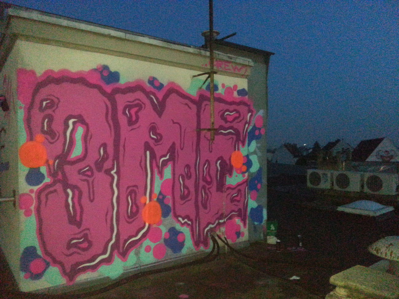 Graffiti Bombing - Photo by Anonymous