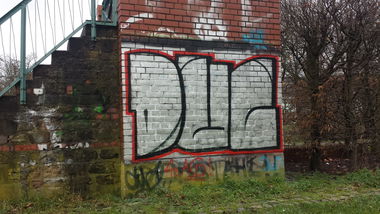 Graffiti Bombing - Photo by Anonymous (2015)