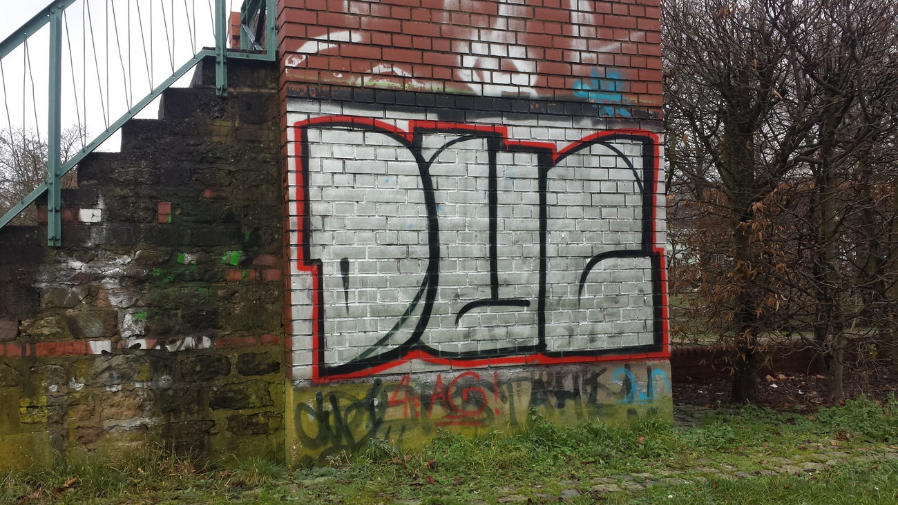 Graffiti Bombing - Photo by Anonymous (2015)