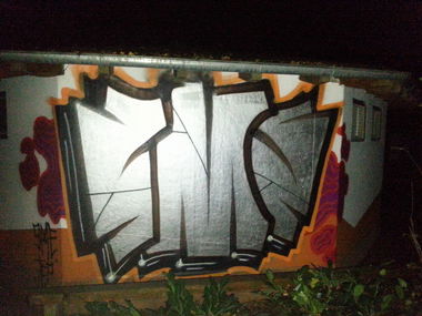 Graffiti Bombing - Photo by Anonymous