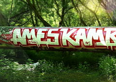 Graffiti Bombing - Photo by Antigrau - AMES, FUCK, NBR (2015)