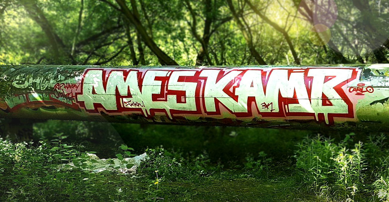 Graffiti Bombing - Photo by Antigrau - AMES, FUCK, NBR (2015)