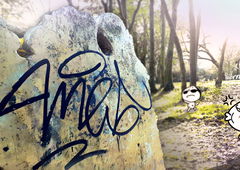 Graffiti Artwork - Photo by Antigrau - ames, fuck, amesone (2019)