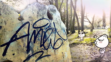 Graffiti Artwork - Photo by Antigrau - ames, fuck, amesone (2019)