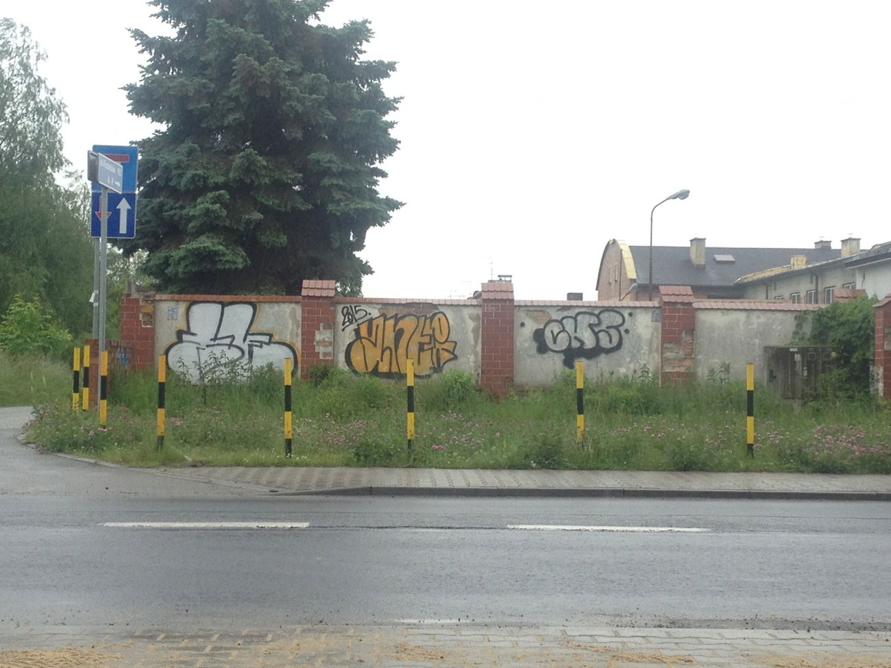 Graffiti Bombing - Photo by Antoniusone - ante, antonius, chrome (2015)