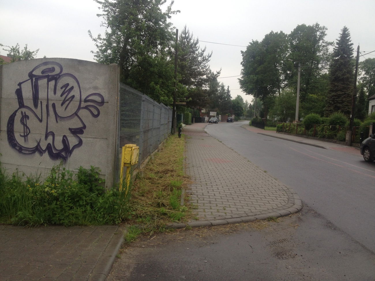 Graffiti Bombing - Photo by Antoniusone - ante, throwup, needmoney (2014)