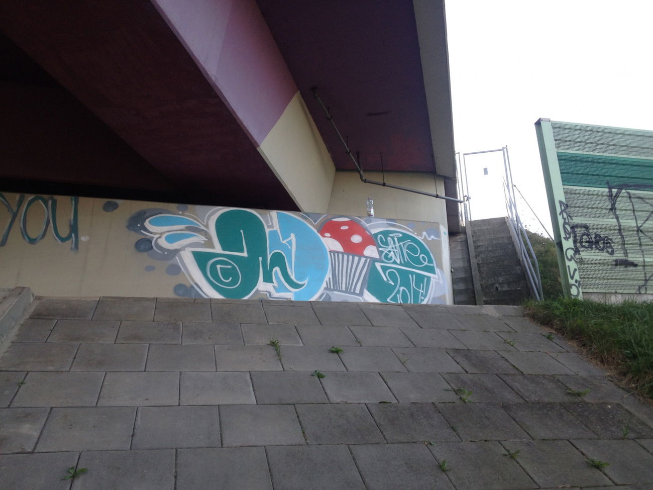 Graffiti Bombing in Polska - Photo by Antoniusone - ante, shroom, a4 (2014)