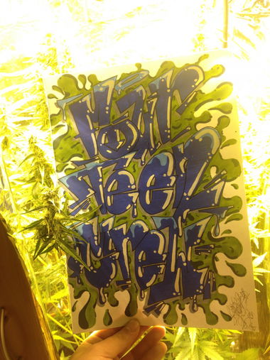 Graffiti Sketch - Photo by Antoniusone - happy, ftc, four (2015)