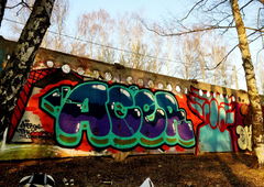 Photo #87870 by 19xllls