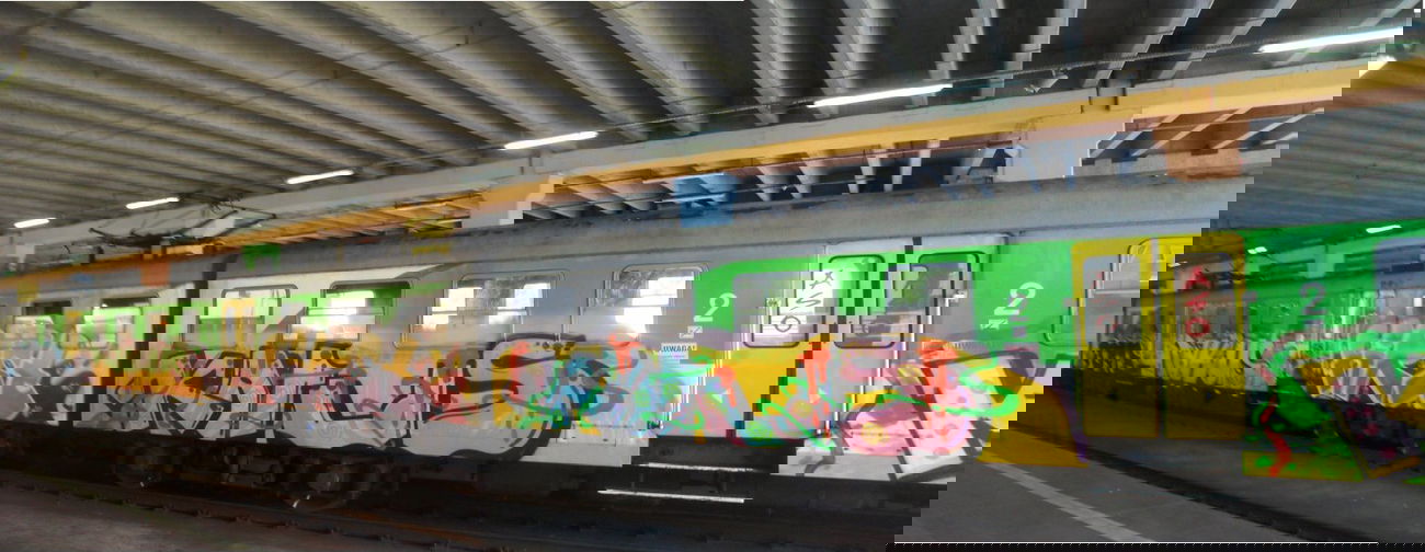 Graffiti Train - Photo by Antykacap (2013)