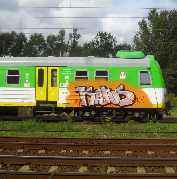 Graffiti Train - Photo by Antykacap (2013)