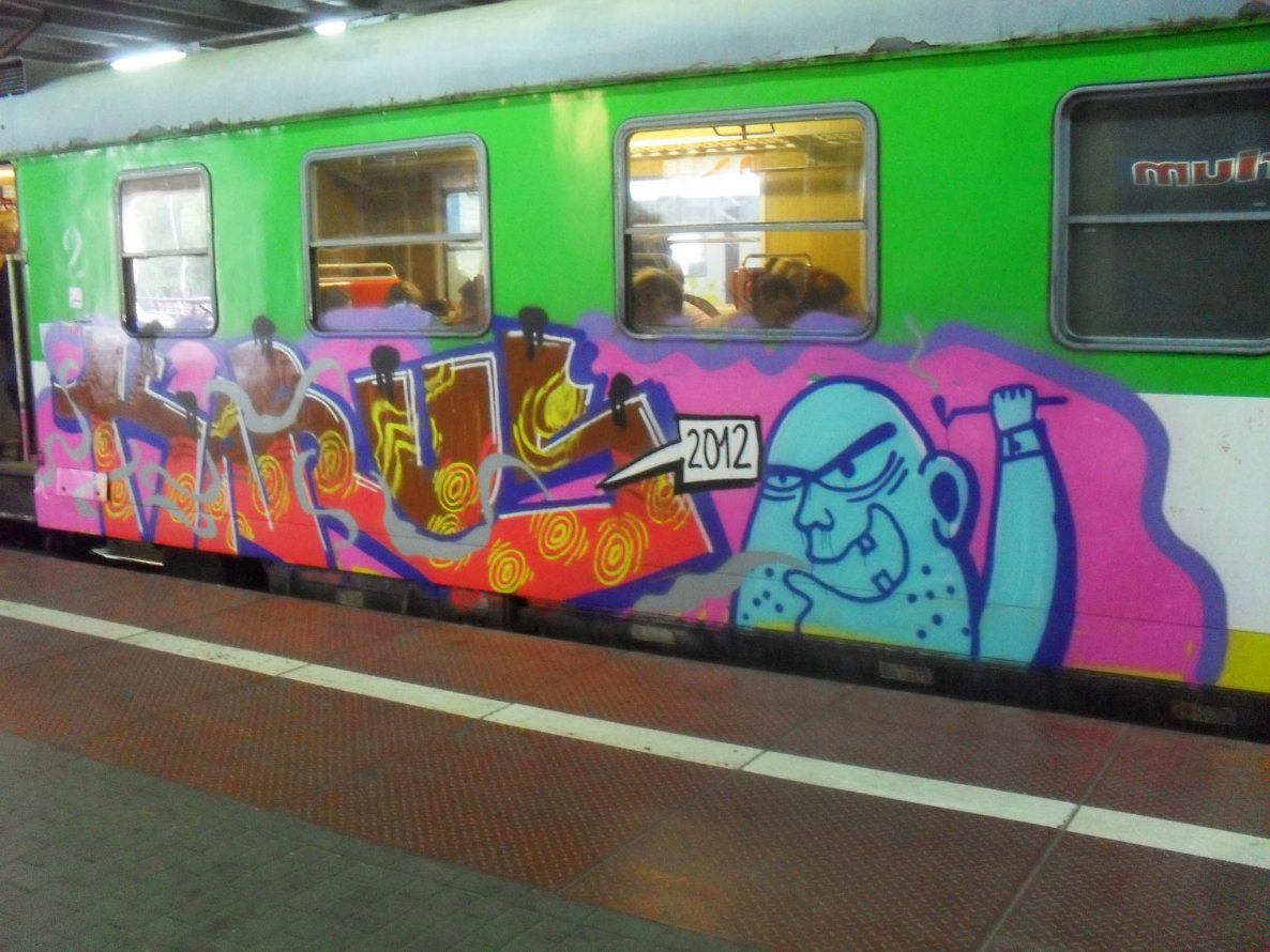 Graffiti Train - Photo by Antykacap (2012)