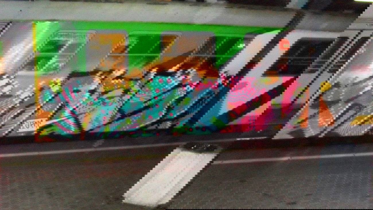 Graffiti Train - Photo by Antykacap (2011)