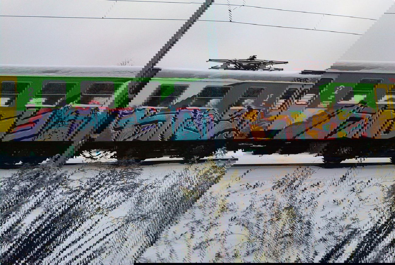 Graffiti Train - Photo by Antykacap (2010)