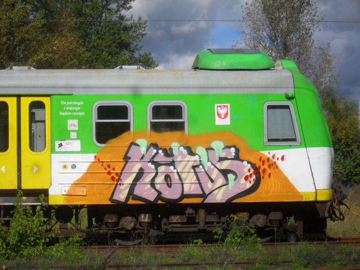 Graffiti Train - Photo by Antykacap (2013)