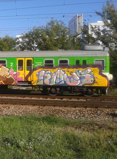 Graffiti Train - Photo by Antykacap (2013)