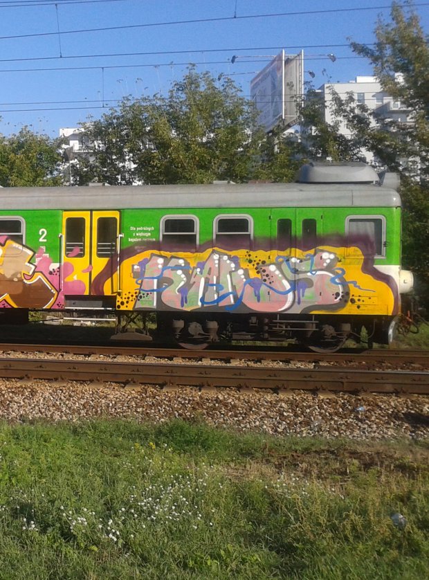 Graffiti Train - Photo by Antykacap (2013)