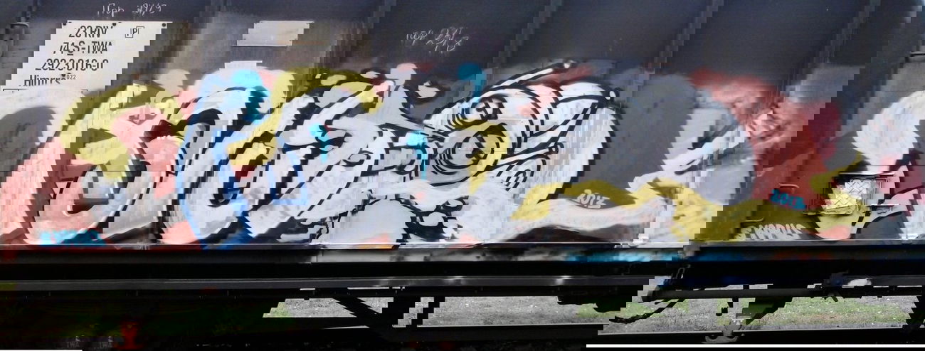 Graffiti Train - Photo by Antykacap (2013)