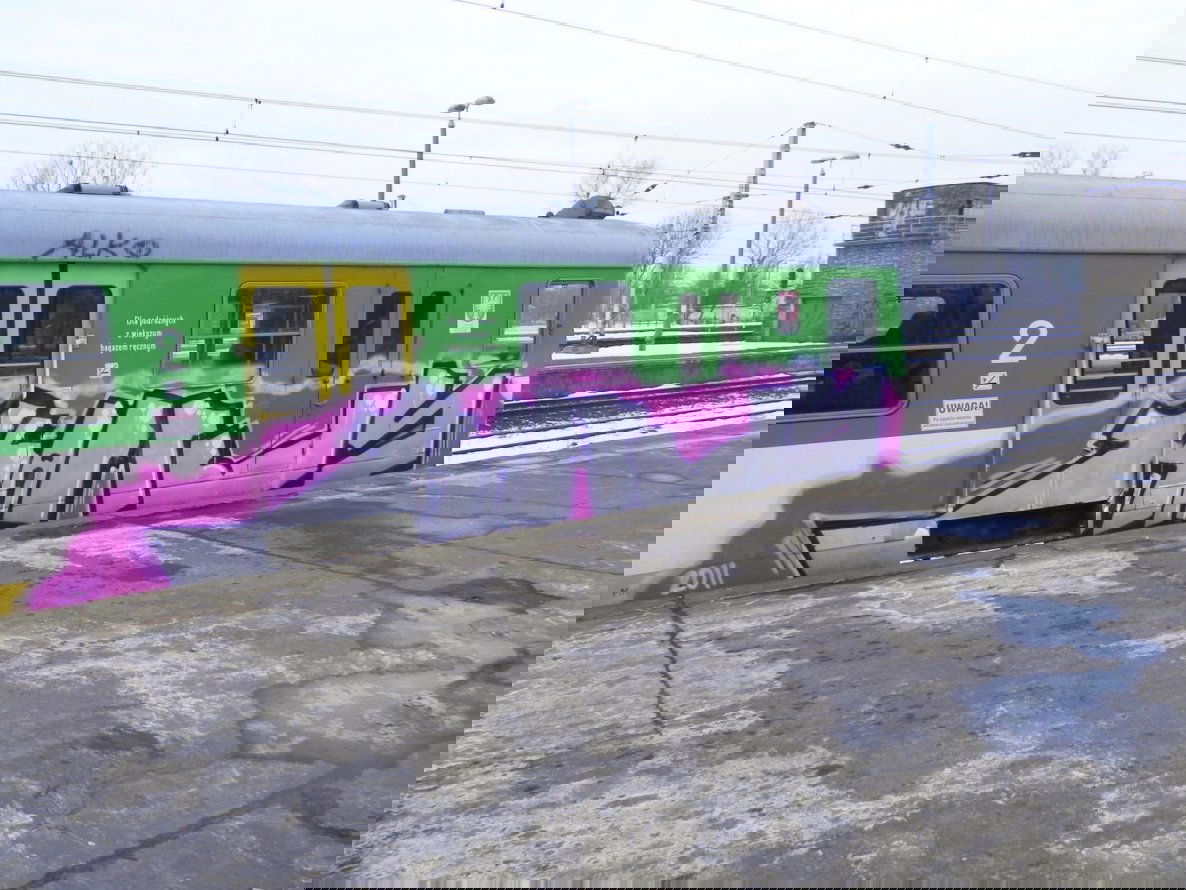 Graffiti Train - Photo by Antykacap (2011)