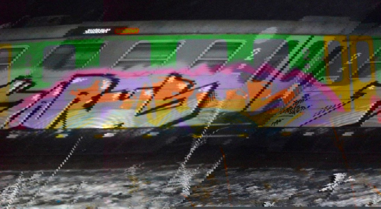 Graffiti Train - Photo by Antykacap (2011)